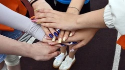 НКО Белгородской области могут получить гранты на реализацию социально значимых проектов в 2026 году