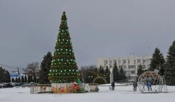 Руководитель района Татьяна Круглякова поздравила чернянцев с Новым годом