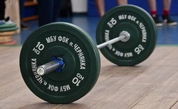 Два проекта из Чернянского муниципального округа получили грантовую поддержку региональных властей