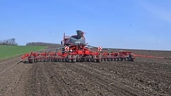 Аграрии Чернянского муниципального округа приступили к весеннему севу