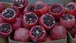 Предприниматель из хутора Бородин Александр Фартучный: «Покупатели довольны, да и мы не в накладе»