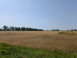 Постановление администрации Чернянского района от 16.10.2025 года №582