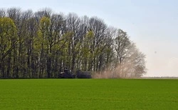 Чернянцы смогут арендовать земельные участки