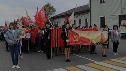 Белгородка попросила Вячеслава Гладкова не проводить в этом году шествие Бессмертного полка