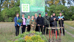 Осенний этап всероссийской акции «Сохраним лес» стартовал в Белгородской области