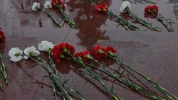 Чернянцы отдали дань памяти погибшим землякам в День Героев Отечества