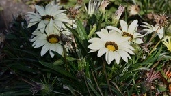 Татьяна Котлярова из Орлика поделилась воспоминаниями о близких