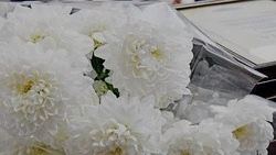 Администрация Чернянского округа объявила о старте конкурса по формированию Молодёжной доски почёта