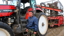 Чернянские сельхозпроизводители малых форм собственности отказались от выращивания свёклы