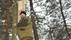 Чернянские защитники леса развесили 60 искусственных гнездований в муниципалитете