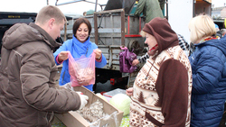 Участники программы «Семейные фермы Белогорья» произвели продукции на 666 млн рублей