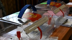ЦИК РФ определила формы голосования на выборах президента