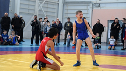 Около 100 спортсменов приняли участие в X турнире по вольной борьбе в Чернянке