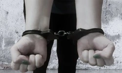 Госдума приняла федеральный закон №420-ФЗ «О внесении изменений в Уголовный кодекс РФ»