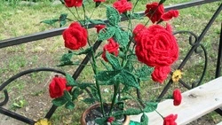 От педагога до главы. Как Алла Михайлец покорила село, в котором прожила всю жизнь