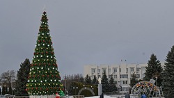Чернянцы начали планировать семейную развлекательную программу на праздничные дни