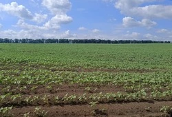 Постановление администрации Чернянского района от 16.10.2025 г. №581