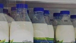 Сельхозпредприятия Чернянского района обеспечили заметный прирост производства молочных ферм