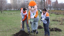 Жители Белгородской области присоединились к патриотической акции «Сад памяти»