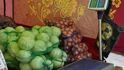 Власти муниципалитета пригласили земляков на сельскохозяйственную ярмарку в Чернянке