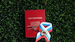 Почти 1 500 белгородцев стали обладателями золотого знака отличия ГТО