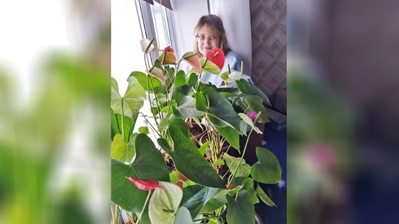 Валентина Лагуткина из Чернянки дала советы новичкам по уходу за антуриумом