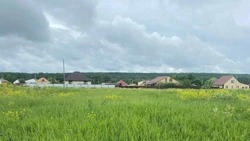 Постановления администраций сельских поселений Чернянского района