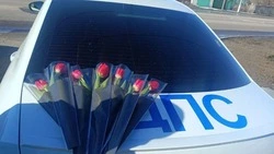 Чернянские полицейские поздравили водителей-леди 