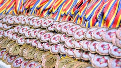 Золотые медали чемпионата России по грепплингу достались белгородским спортсменам
