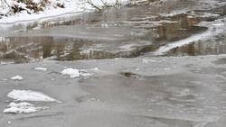 Сотрудники отделения профилактики напомнили чернянцам об опасности тонкого льда