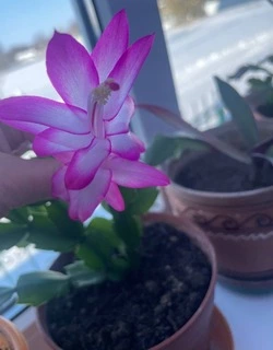 Редакция газеты «Приосколье» ждёт отклик от читателей