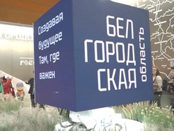 Вячеслав Гладков откроет День Белгородской области сегодня на выставке-форуме «Россия» на ВДНХ