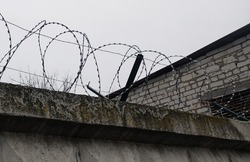 Белгородка получила 5,5 лет колонии за ДТП со смертельным исходом