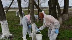 Трудовые коллективы чернянского района приняли активное участие в областном экологическом субботнике