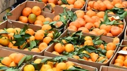 Администрация округа пригласила чернянцев на ярмарку 20 декабря