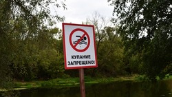 Управление по делам ГО и ЧС Чернянского района напомнило о правилах поведения на воде