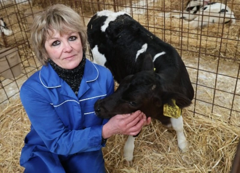 Ольга Воронько трудится в хозяйстве «Бородинское» уже пять лет