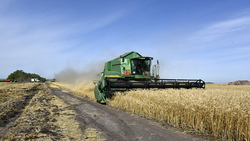 Сельхозпроизводители Чернянского района убрали урожай хлебов на площади более 11 тыс. га