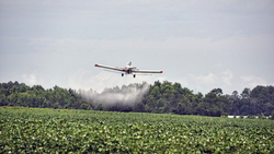 Специалист Россельхозцентра рассказал чернянцам об особенностях действия пестицидов