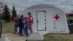 Белгородские волонтёры оказали поддержку более 800 беженцам в палатках Красного Креста