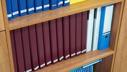 Белгородстат представил итоги социально-экономического положения Белгородской области за 2024 год