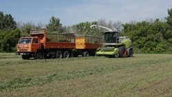 Управляющий отделением №2 агросоюза «Авида» Сергей Пешеханов: «Задачи будут выполнены на 100%»